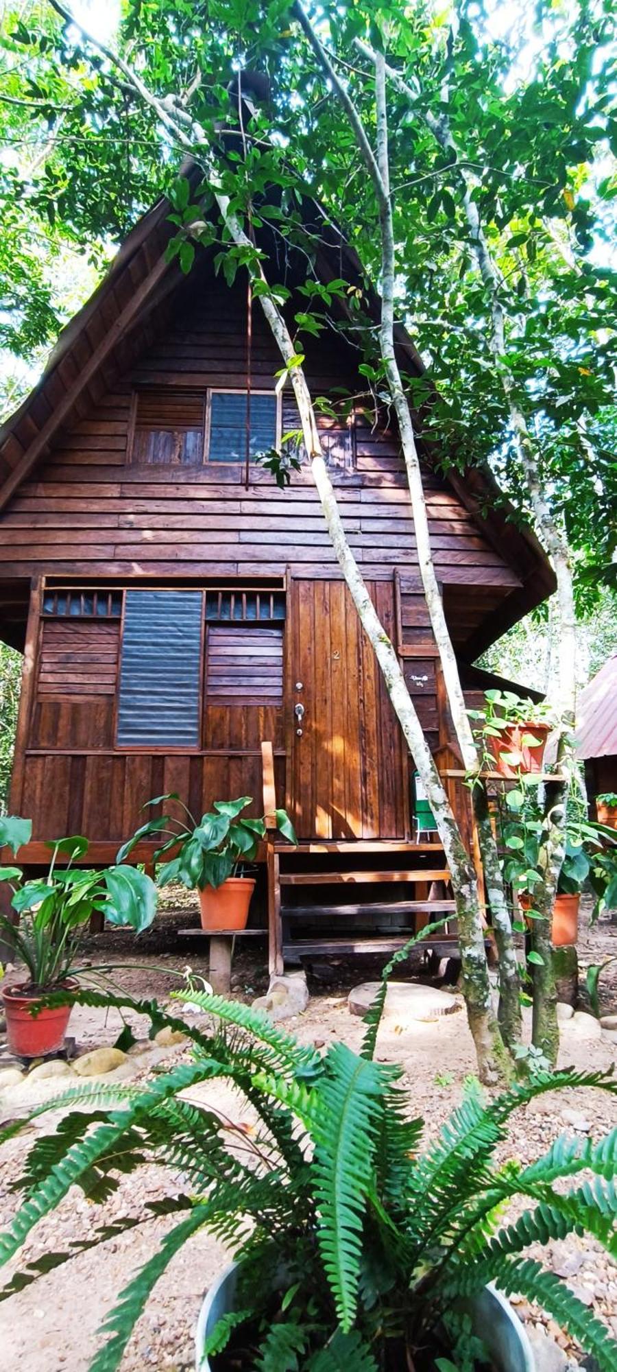 Hotel Ecologico Makalombia La Macarena Exterior foto